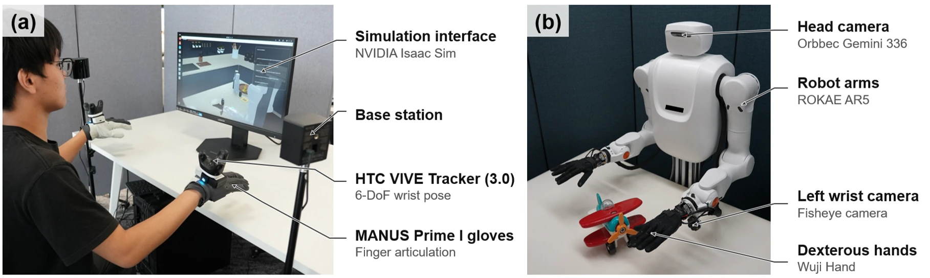 Human teleoperation setup with tracking gloves, alongside a ROKAE robot with Wuji dexterous hands and three cameras
